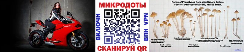 как найти закладки  Игарка  Галлюциногенные грибы MAGIC MUSHROOMS 